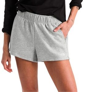 The North Face Core Shorts Size M